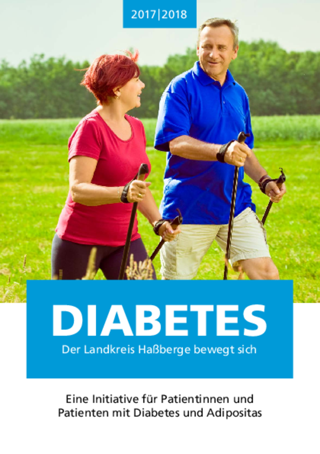 Broschuere Diabetesprojekt