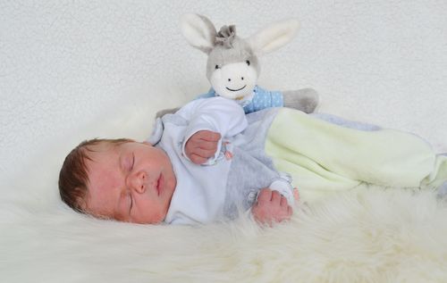 Finn Felix Hoffmann