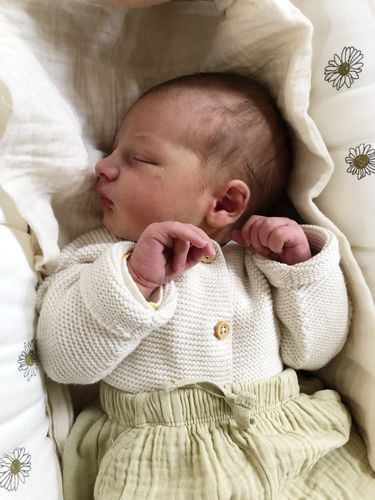 Levi Theo Hau